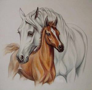 Раскраска лошадь рисунок #1 #375119