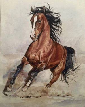 Раскраска лошадь рисунок #6 #375124
