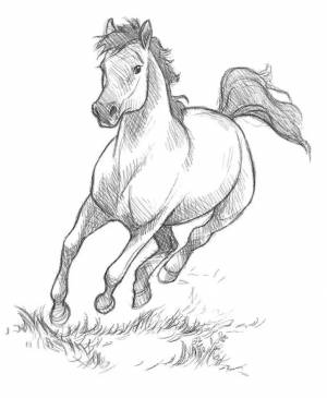 Раскраска лошадь рисунок #9 #375127