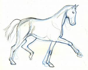Раскраска лошадь рисунок #10 #375128