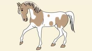 Раскраска лошадь рисунок #13 #375131