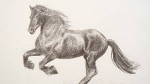 Раскраска лошадь рисунок #16 #375134