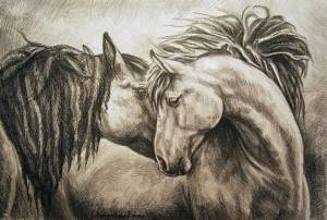 Раскраска лошадь рисунок #17 #375135