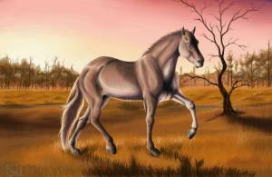 Раскраска лошадь рисунок #20 #375138