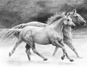 Раскраска лошадь рисунок #21 #375139