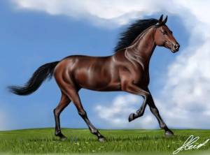 Раскраска лошадь рисунок #22 #375140