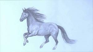 Раскраска лошадь рисунок #25 #375143