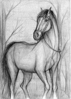 Раскраска лошадь рисунок #26 #375144