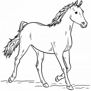 Раскраска лошадь рисунок #28 #375146