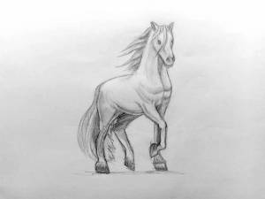 Раскраска лошадь рисунок #29 #375147
