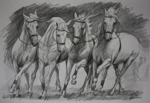 Раскраска лошадь рисунок #38 #375156