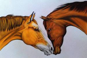 Раскраска лошадь рисунок #39 #375157