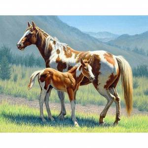 Раскраска лошадь с жеребенком #22 #375179