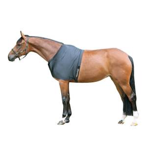Раскраска лошадь с одеждой #6 #375192