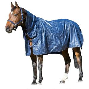 Раскраска лошадь с одеждой #26 #375212