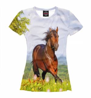 Раскраска лошадь с одеждой #39 #375225