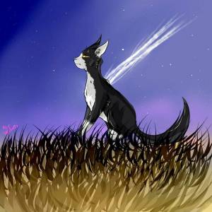 Раскраска луч мяуч #31 #375818