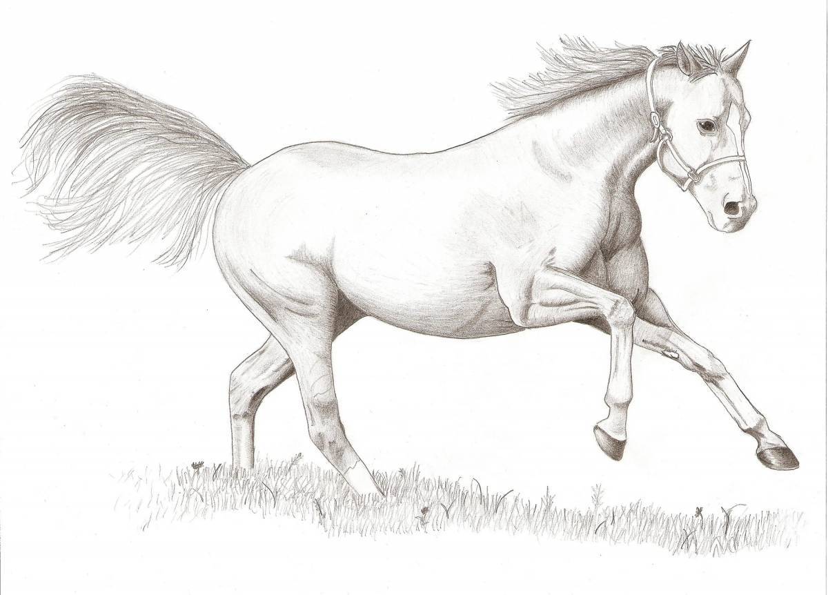 Лошадь рисунок #4