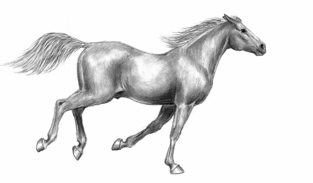 Лошадь рисунок #12