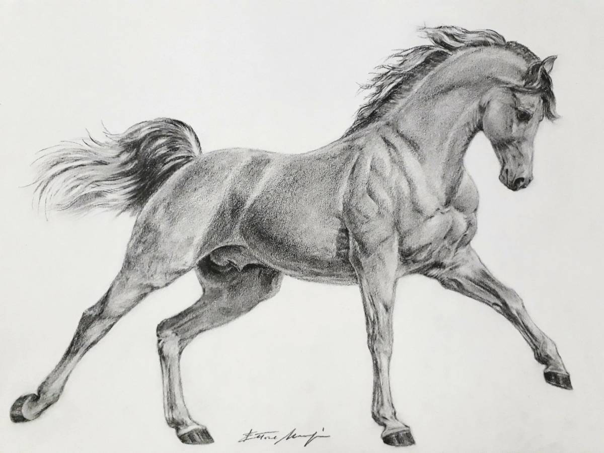 Лошадь рисунок #15