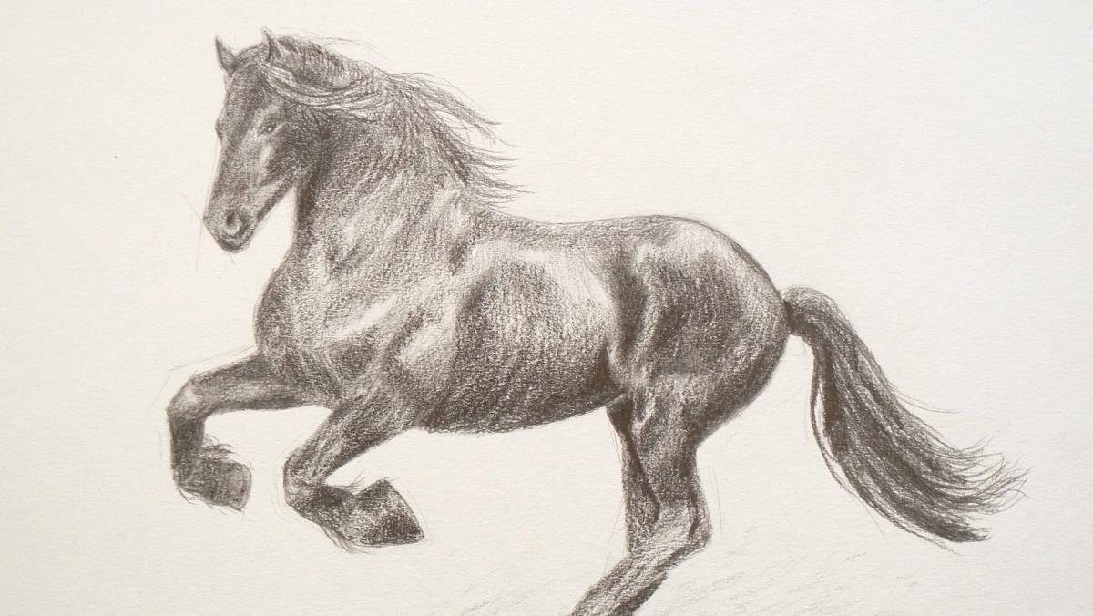 Лошадь рисунок #16