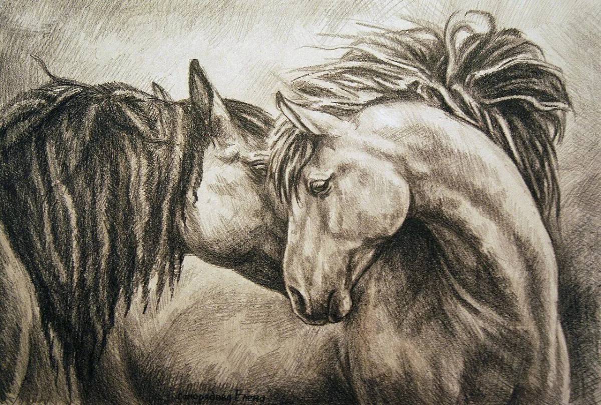 Лошадь рисунок #17
