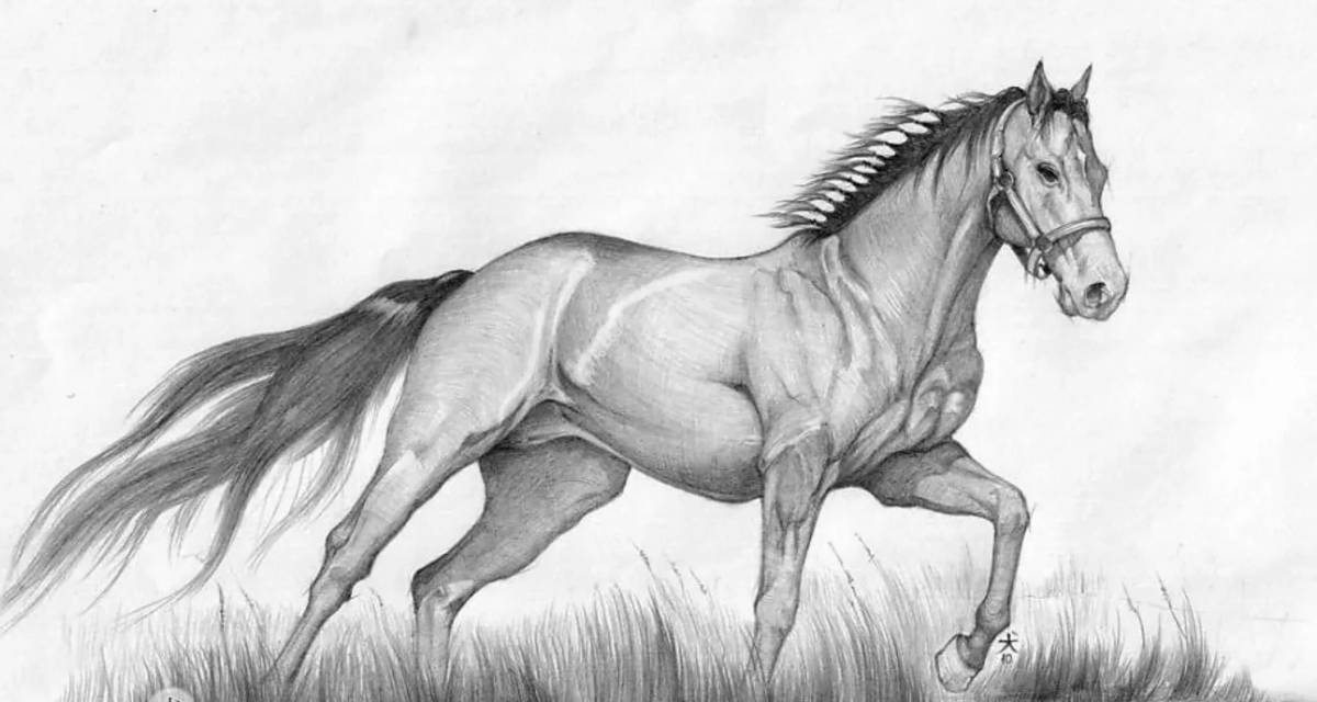 Лошадь рисунок #18