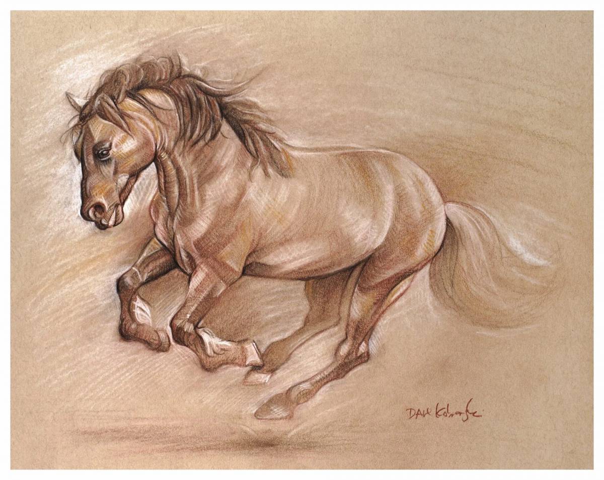 Лошадь рисунок #23
