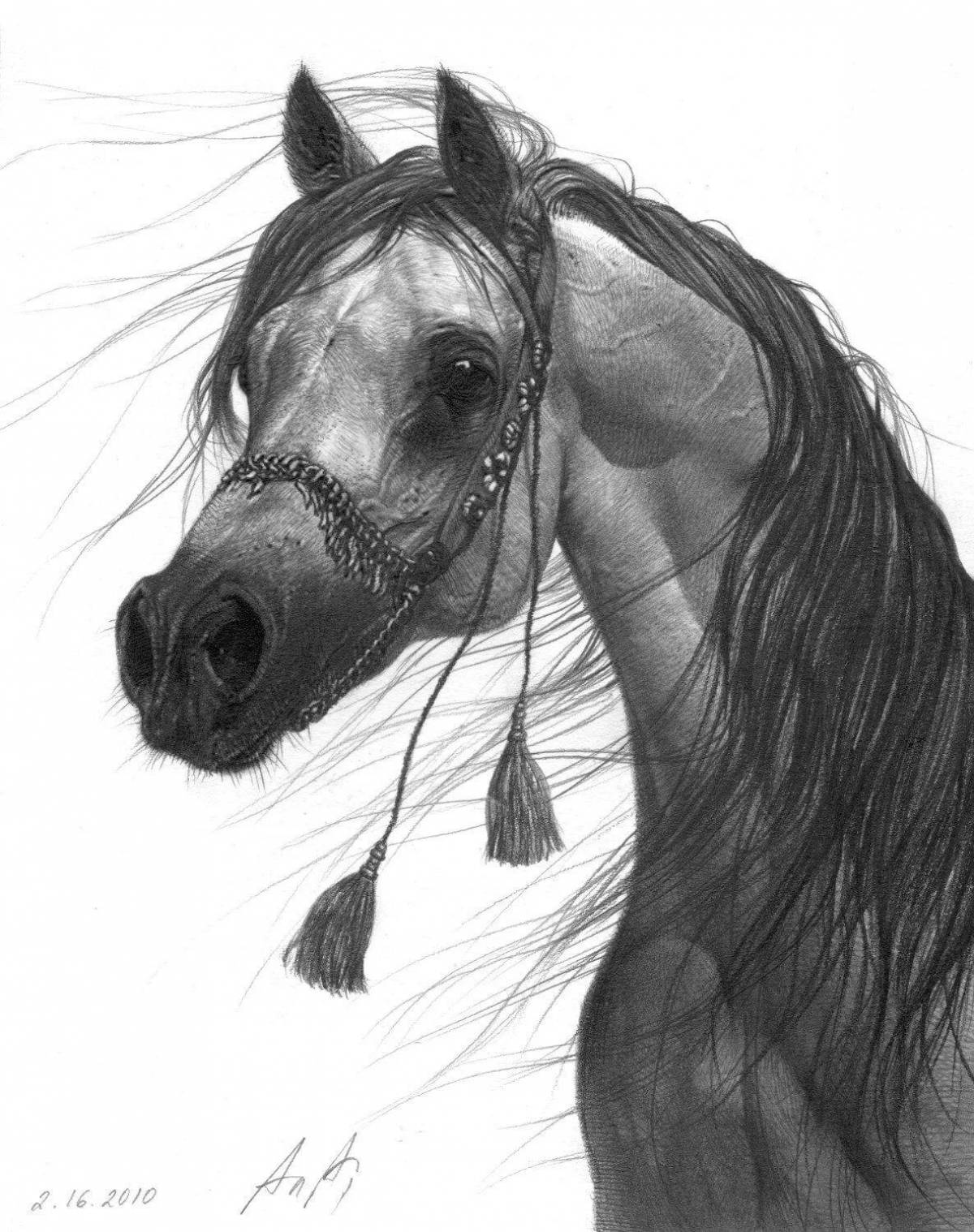 Лошадь рисунок #30