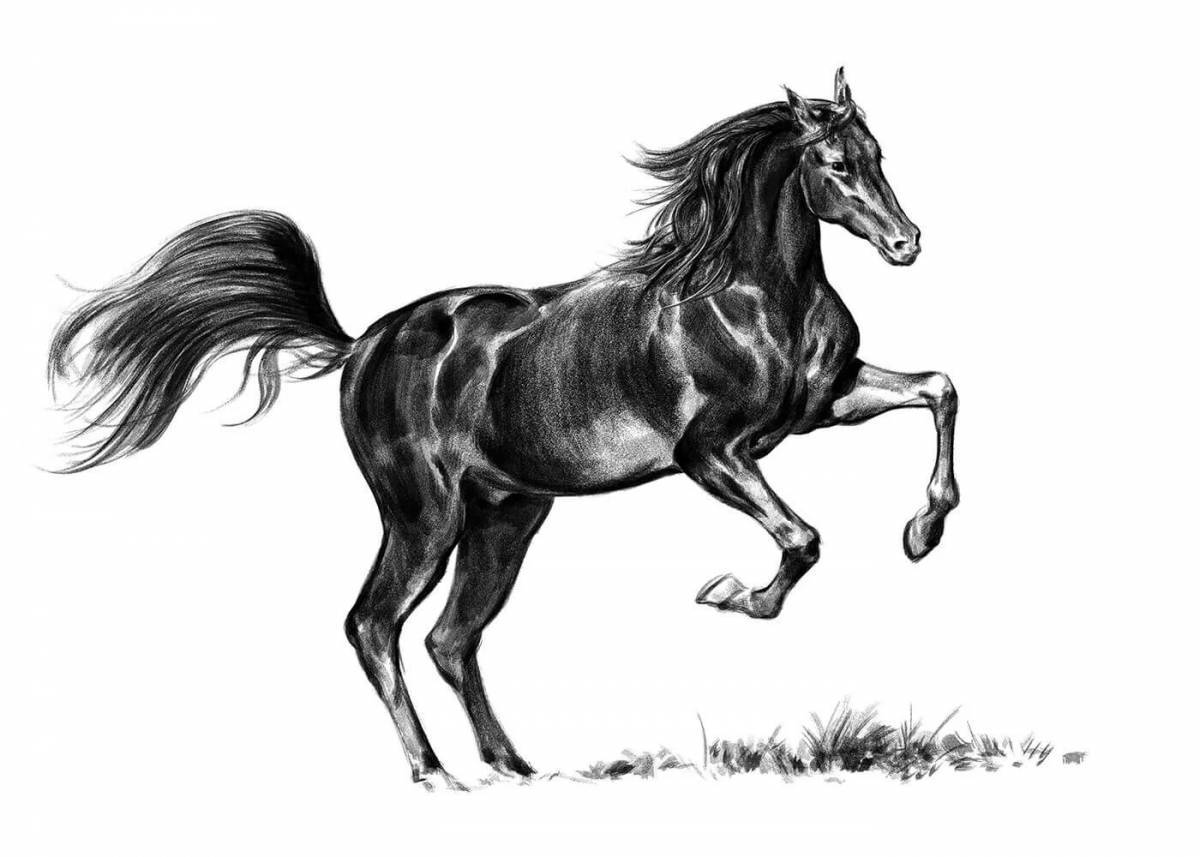 Лошадь рисунок #35