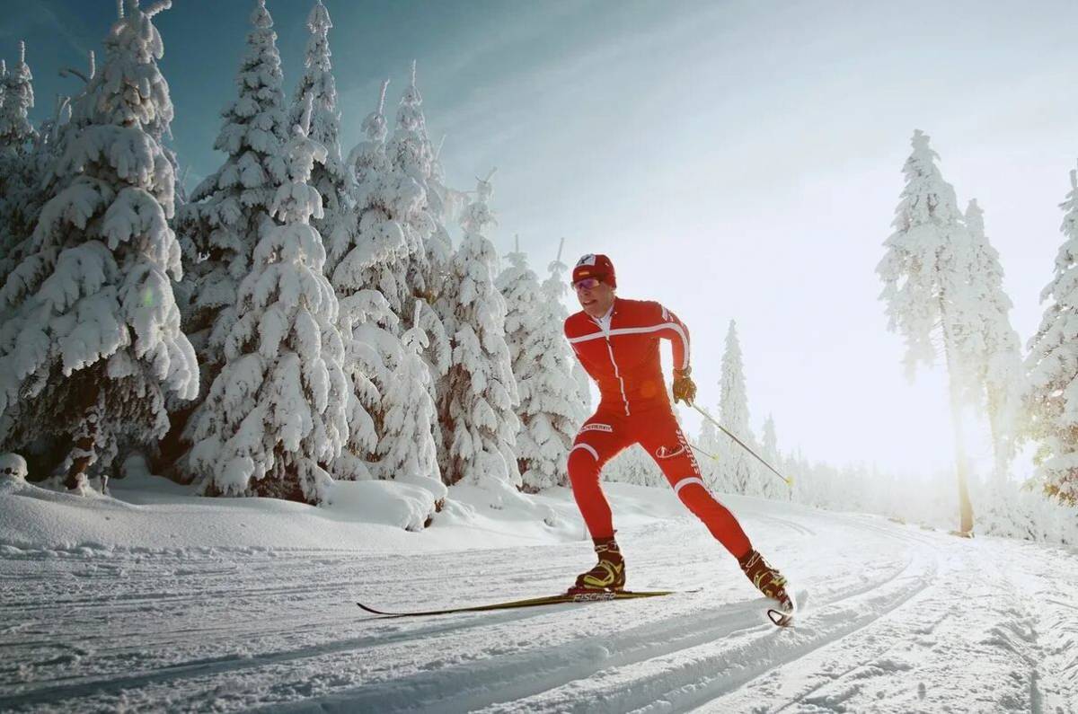 Лыжный спорт #26