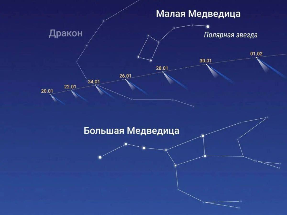 Комета будет видна. Малая Медведица. Большая Медведица и Полярная звезда. Малая Медведица и Полярная звезда. Комета с/2022 е3.