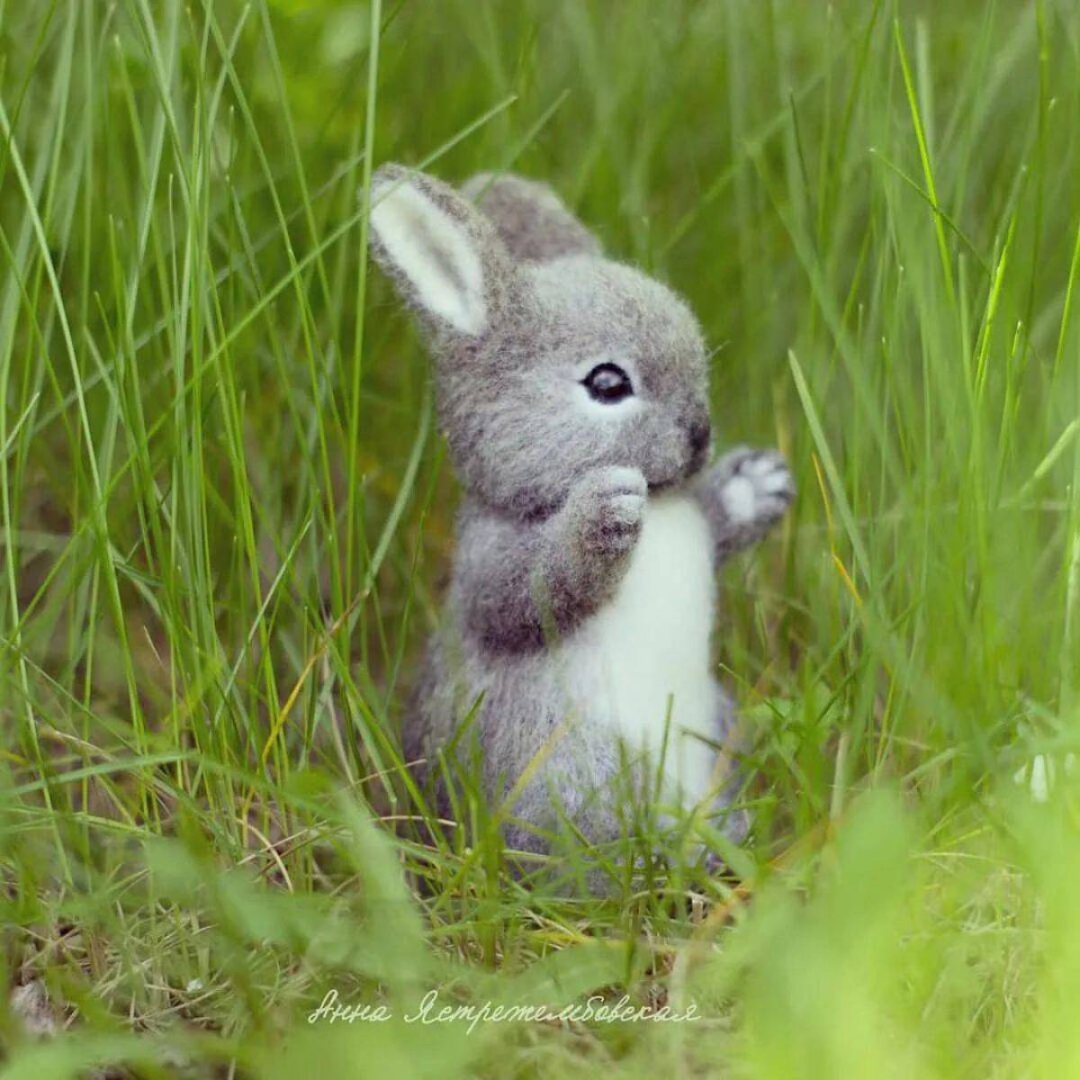 Зайчик зайчата. Зайчик. Заяц маленький. Маленькие Зайчата. Красивый зайчик.