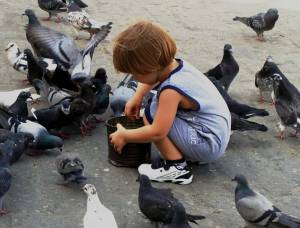 Раскраска мальчик кормит голубей #5 #381389