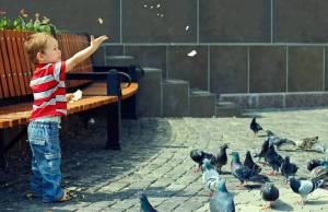 Раскраска мальчик кормит голубей #11 #381395