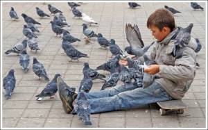 Раскраска мальчик кормит голубей #15 #381399