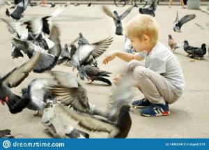 Раскраска мальчик кормит голубей #24 #381408
