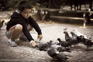 Раскраска мальчик кормит голубей #26 #381410