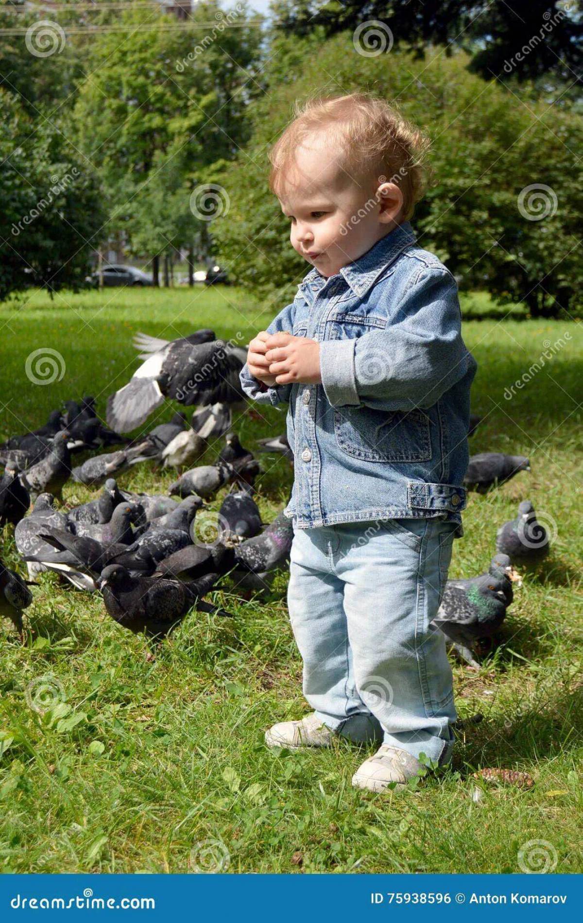 Мальчик кормит голубей #21