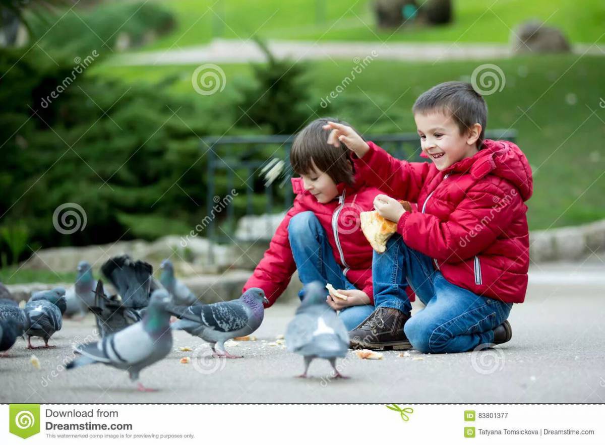 Мальчик кормит голубей #22