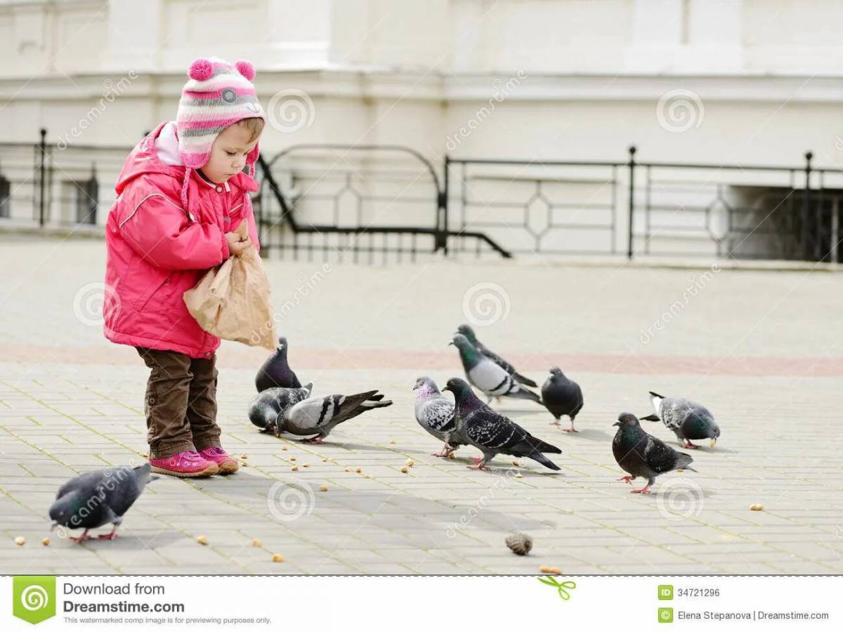 Мальчик кормит голубей #23