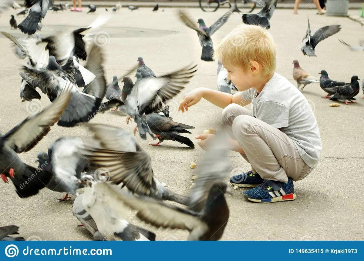 Мальчик кормит голубей #24
