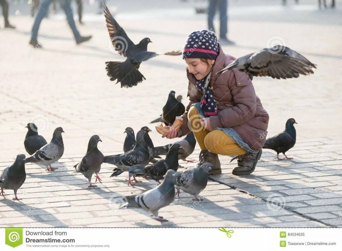 Мальчик кормит голубей #27