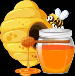 Раскраска мед для детей #1 #391987