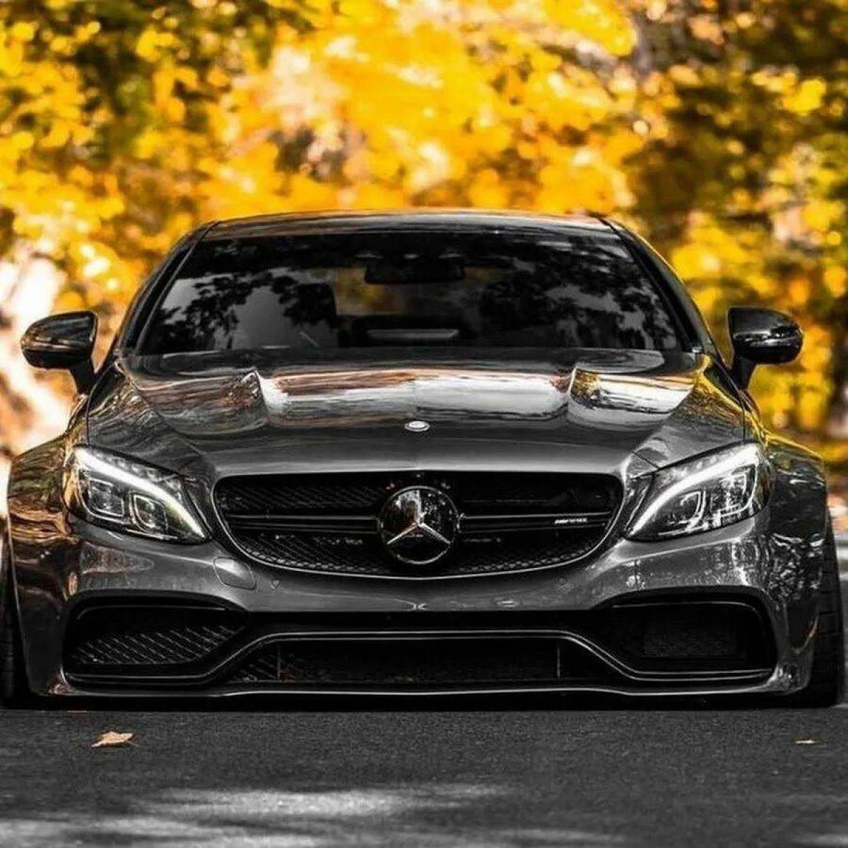 Мерин 63 AMG