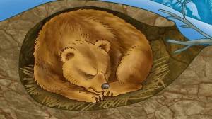 Раскраска медведь в берлоге для детей #2 #392170