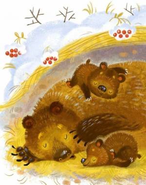 Раскраска медведь в берлоге для детей #10 #392178