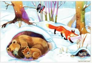 Раскраска медведь в берлоге для детей #25 #392193