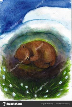 Раскраска медведь в берлоге для детей 2 3 лет #32 #392239