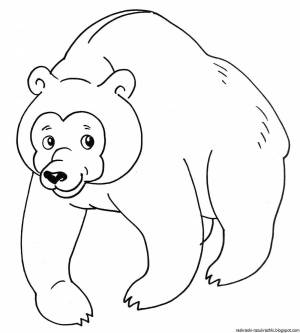 Раскраска медведь для детей для 3 лет #4 #392399